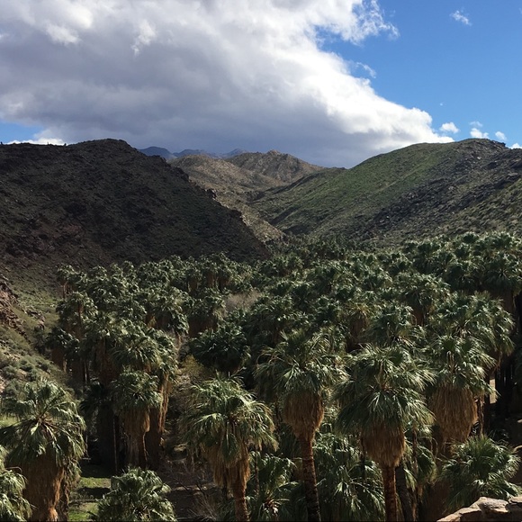 Meet your Posher, Kara - Picture 1 of 1